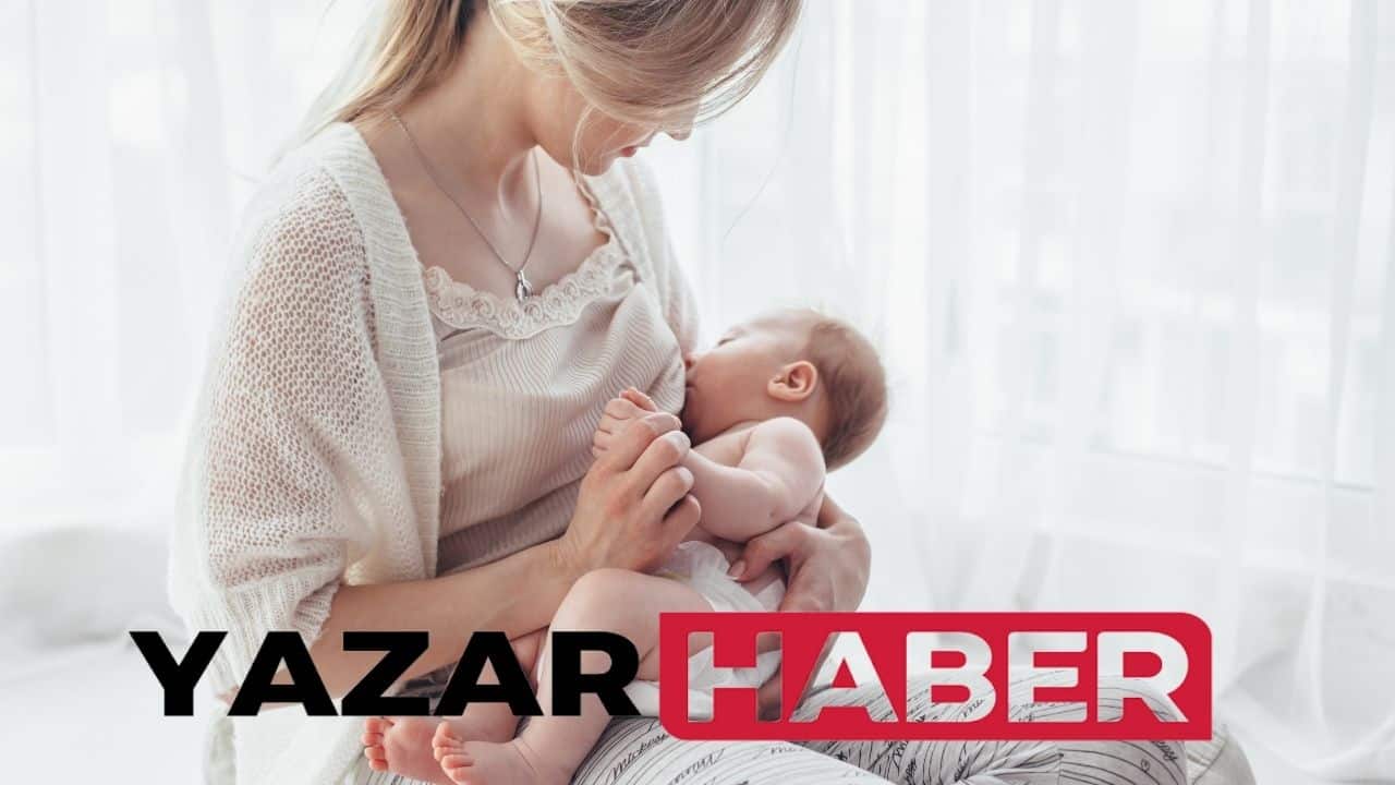 Anne Sütünü Artıran Besinler Nelerdir?