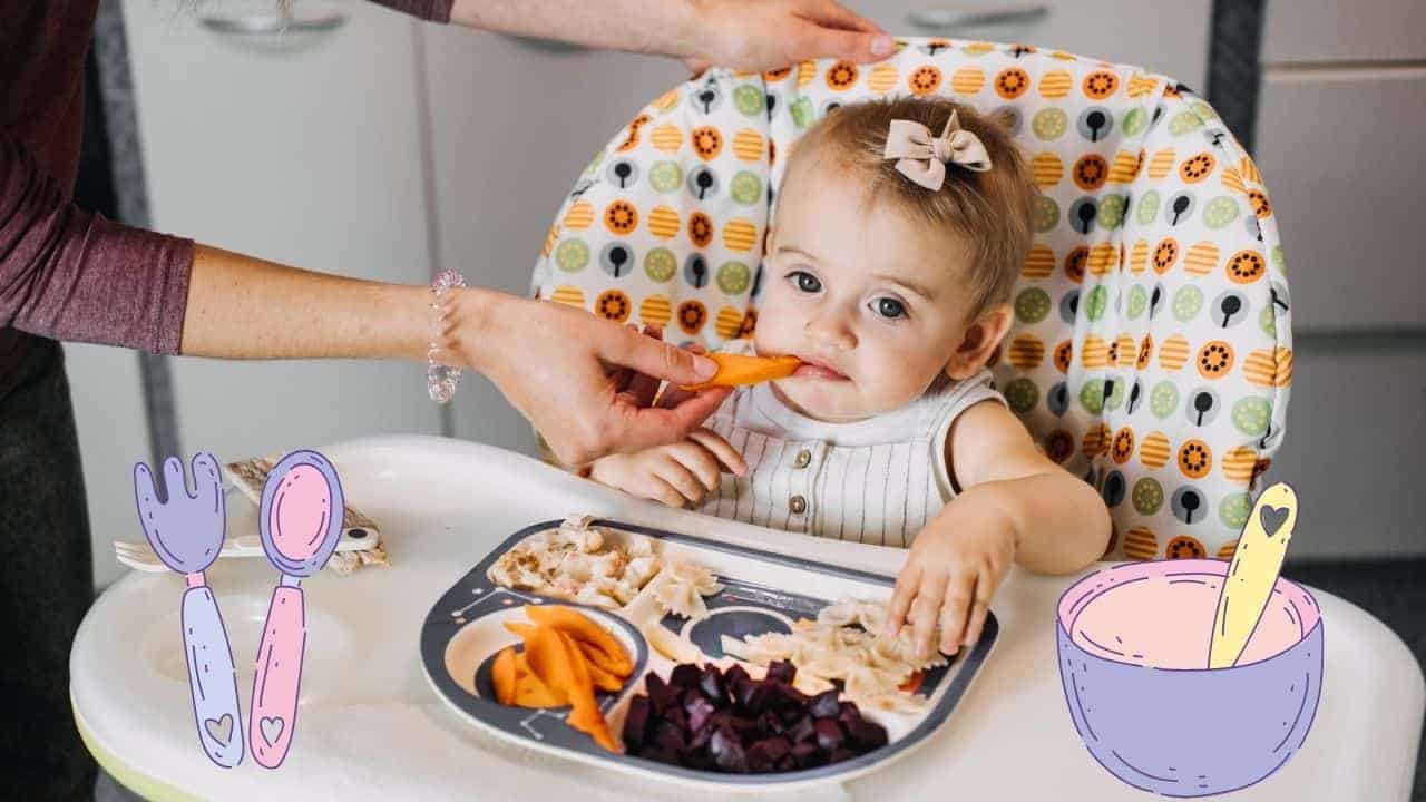 6 Aylık Bebeklerde Ek Gıda Başlangıcı Önerileri