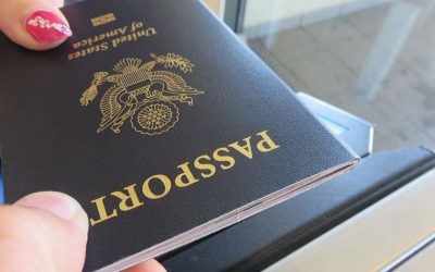 Gri Pasaport Başvurusu İçin Hangi Kuruma Başvurmalıyım?