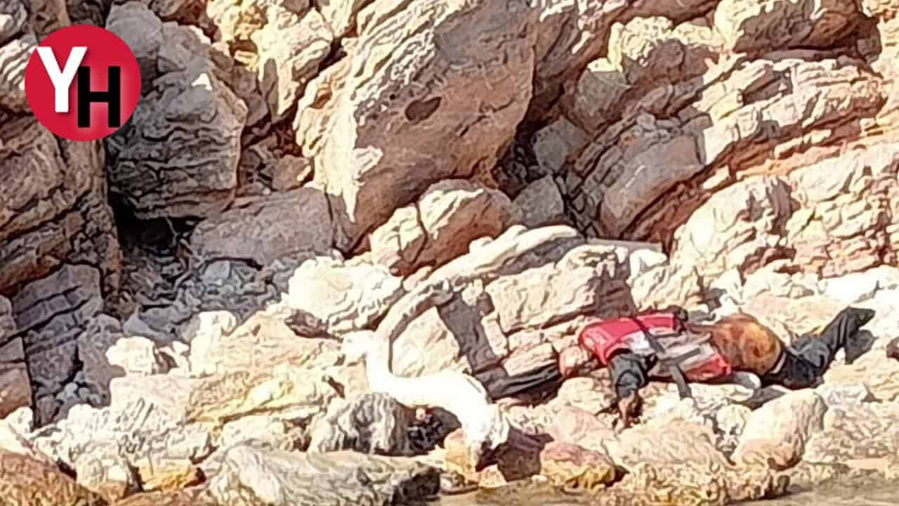 Ada Sahilinde Ceset Bulundu