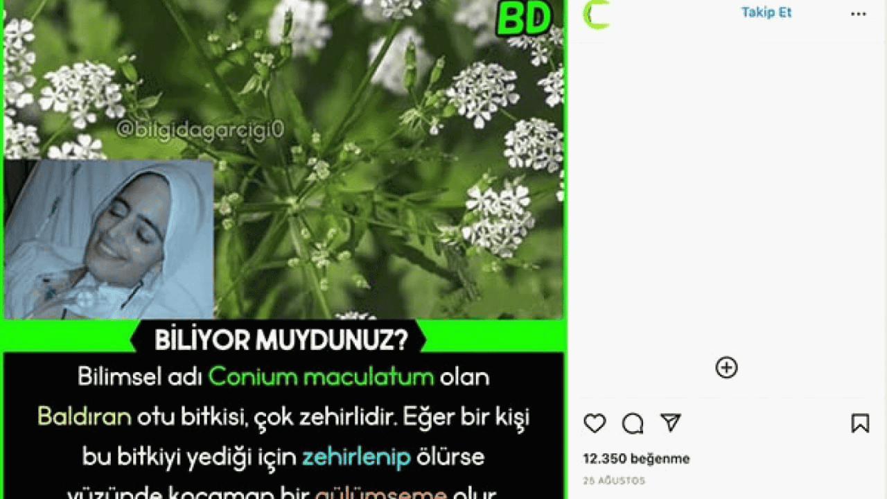 Ölünün Yüzünde Gülümseme Bırakan ot !