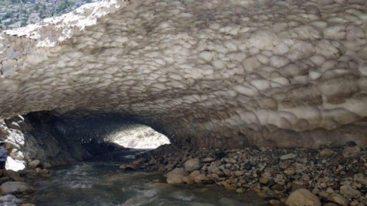 Dünyada çok nadir bulunuyor: Kayseri’de 