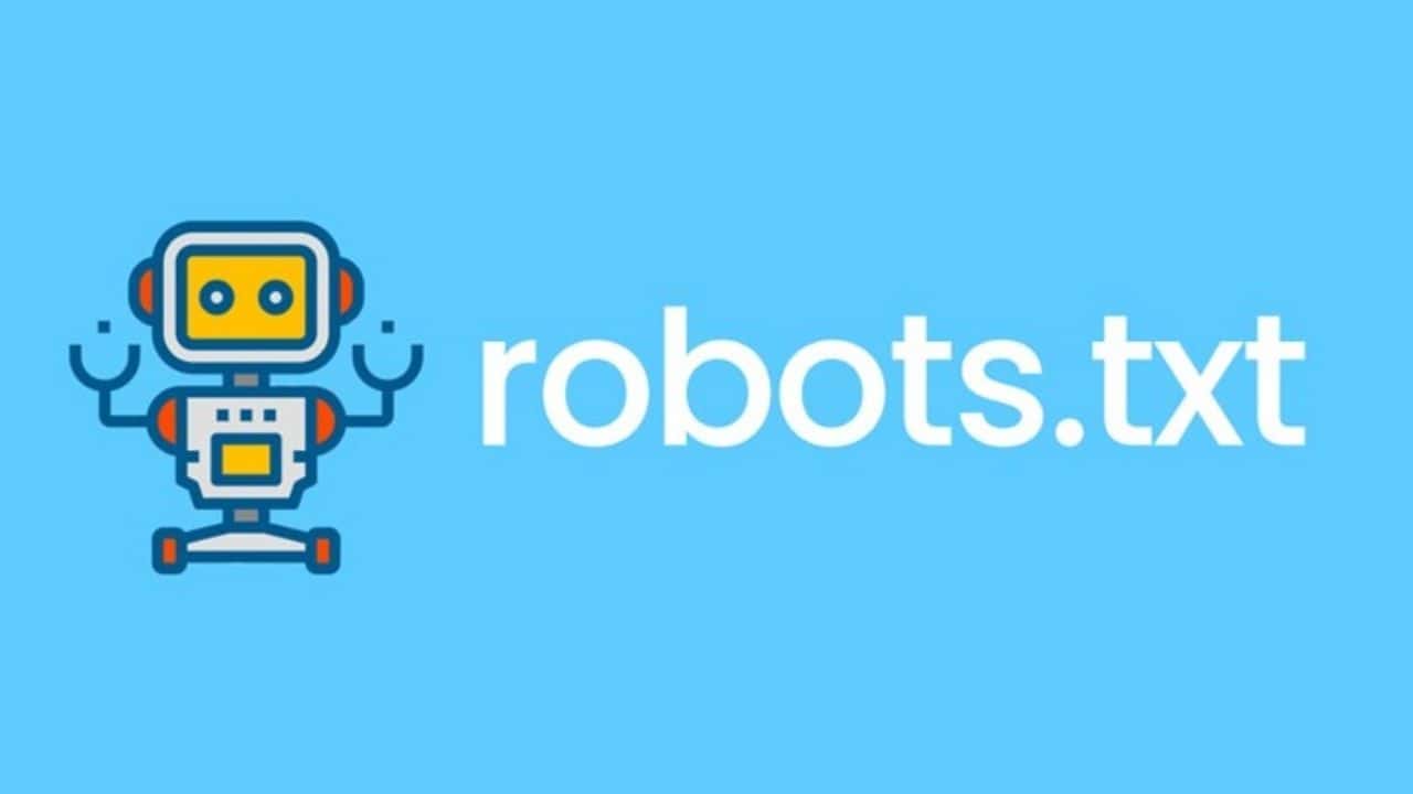 Robots.txt dosyasına giriş