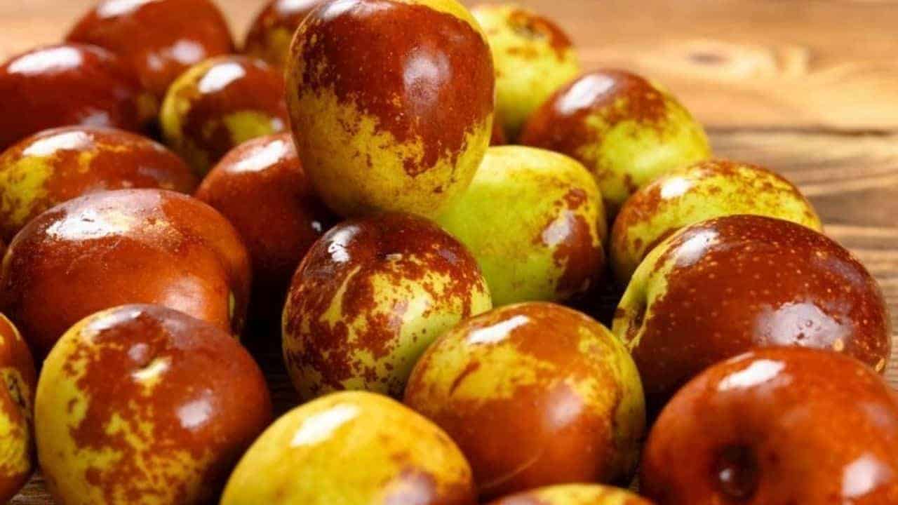 Ölümsüzlük meyvesi nedir?Faydaları Nelerdir?