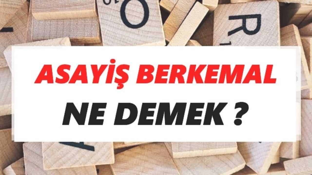 Asayiş Berkemal: Toplumun Huzuru İçin Çalışan Kahramanlar