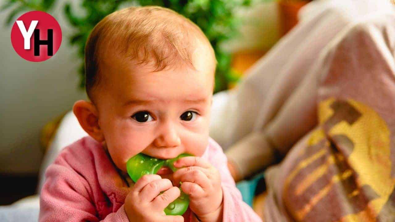 Bebeklerde Diş Çıkarma Süreç, Belirtiler ve Bakım Önerileri
