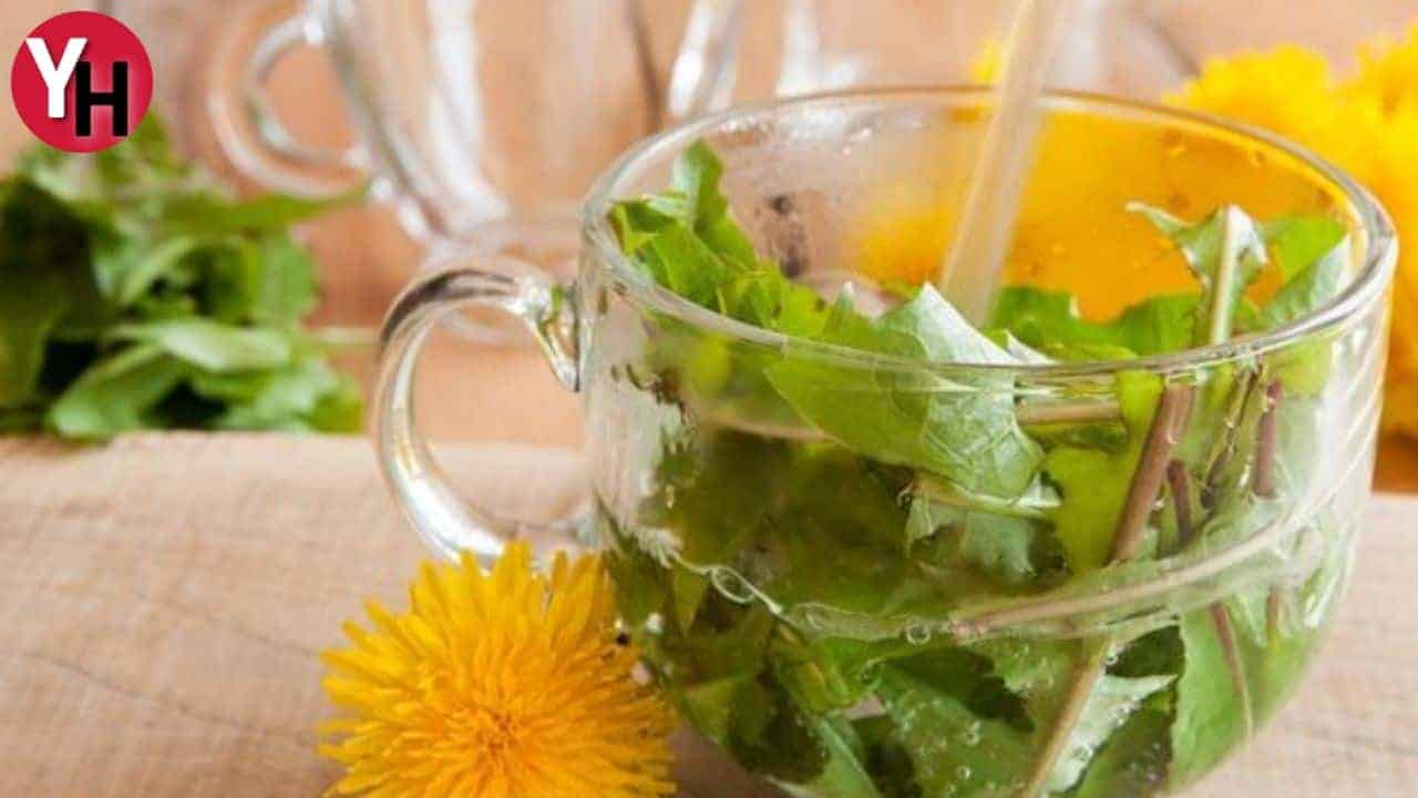 Bitkisel Yağların Üst Solunum Yolu Enfeksiyonları Üzerindeki Etkileri