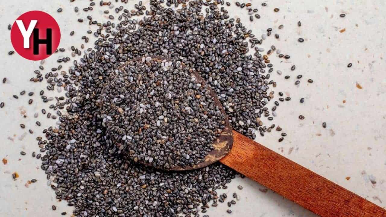 chia-tohumu-1.jpg