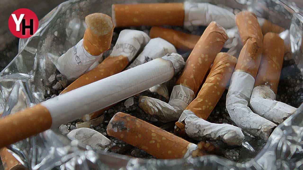 En Tiryakiler Bile Bıktım Tozunu Soruyor