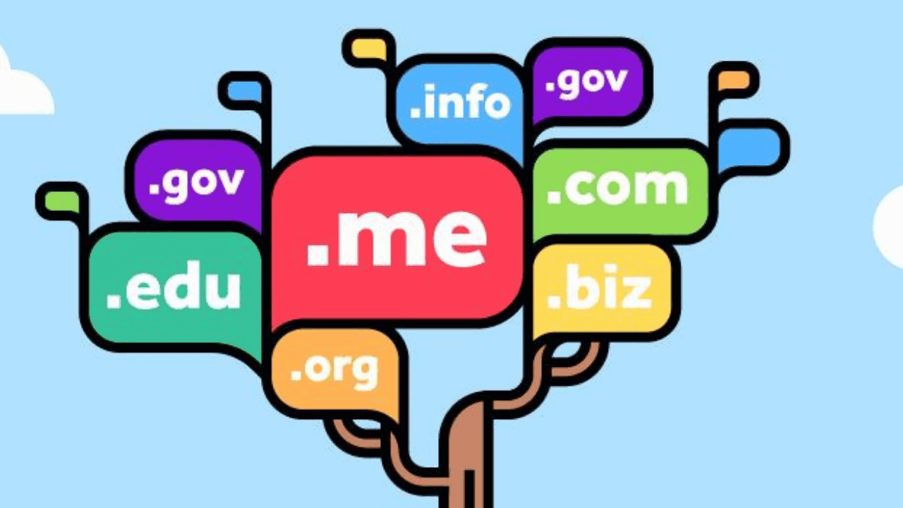 Domain alırken nelere dikkat etmek gerekir?