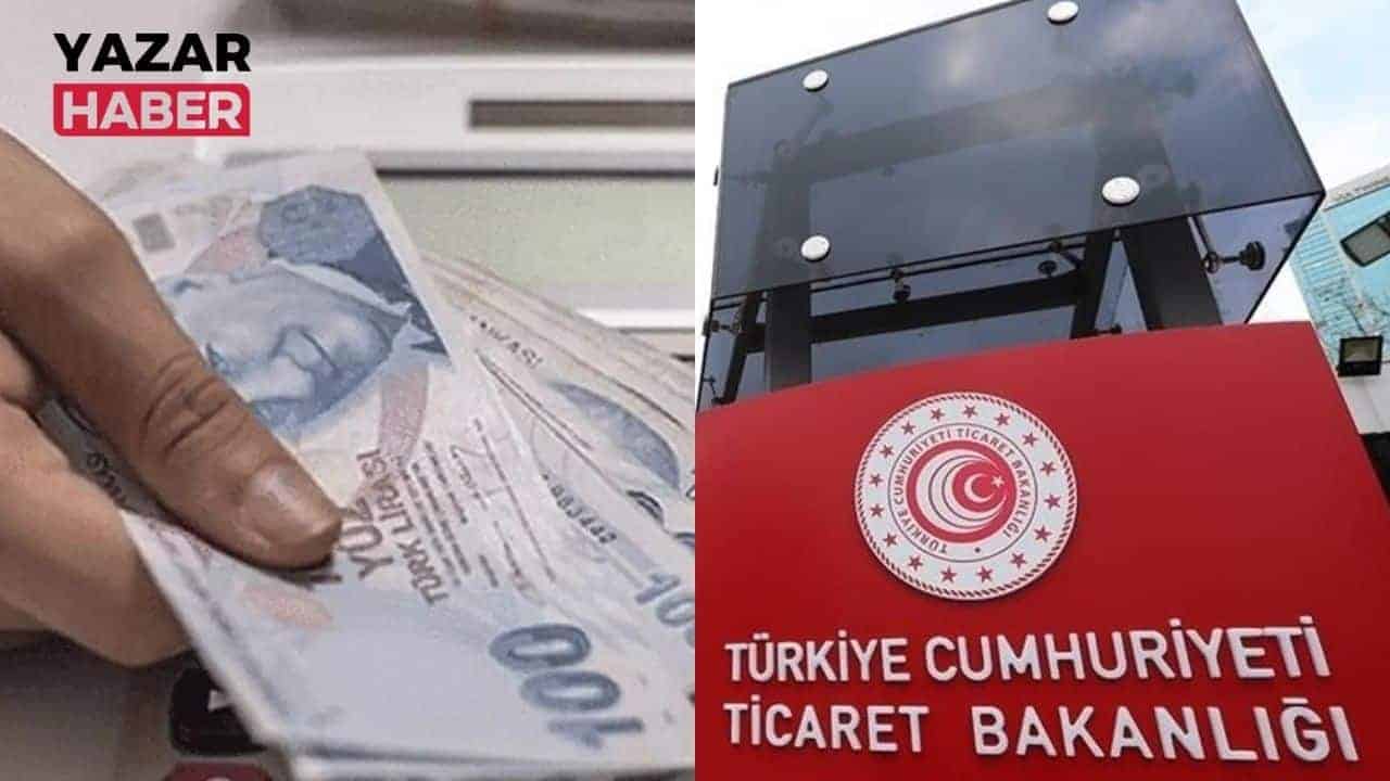 Esnaf ve Sanatkarların Ekonomik Destek Yoluyla Büyümesi