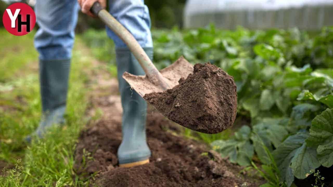 Ev ve Bahçe Bakım Ürünleri