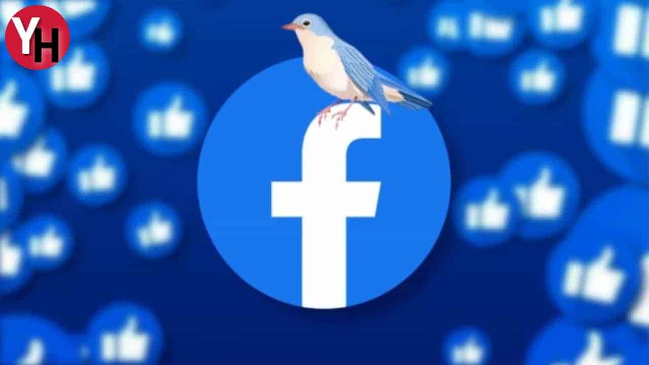 Facebookta Çıkan Kuş Cıvıltısı Benzeri Ses Sorunu için Çözüm Yolları Nelerdir?