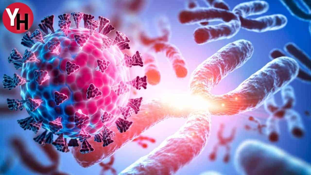Genetik Mutasyonların Gelişime Etkileri