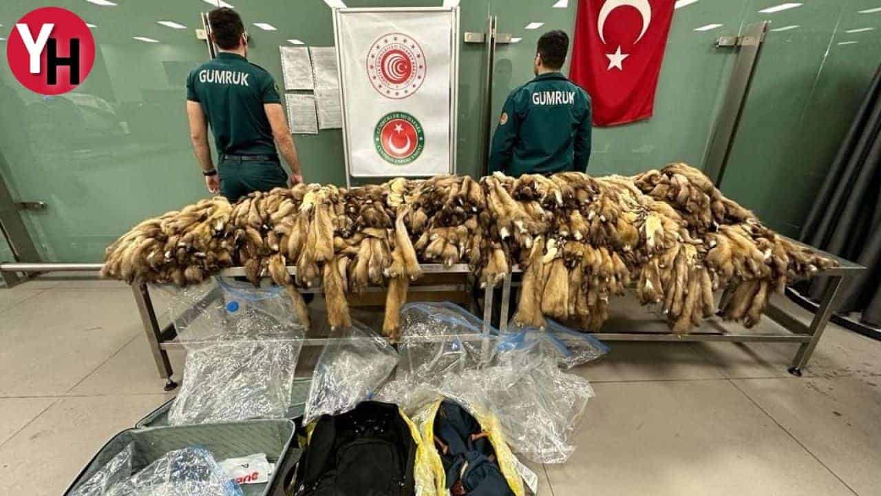 İstanbul Havalimanı’nda Şaşırtan Operasyon: Hayvan Zehirleriyle Dolu Çanta Ele Geçirildi