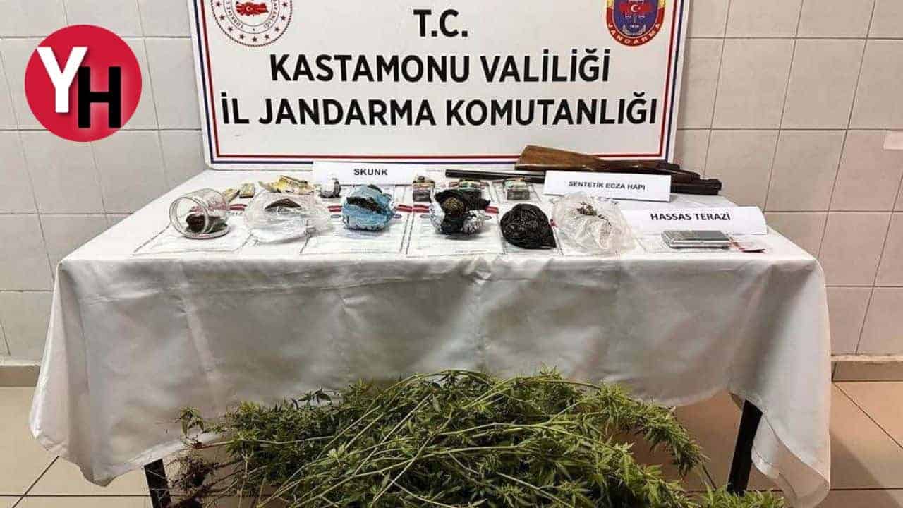 Kastamonu’da Saksıda Yetiştirilen Skunk Bitkisi Ele Geçirildi