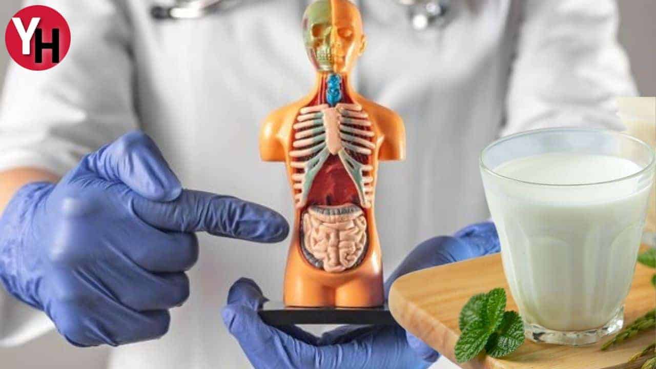 Kefir ve İrritabl Bağırsak Sendromu