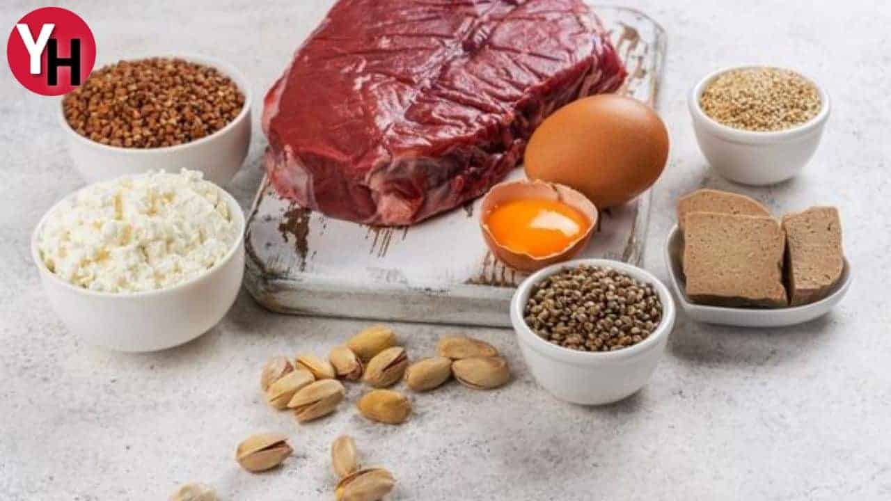 Kilo Alma ve Amino Asitler Nedir?