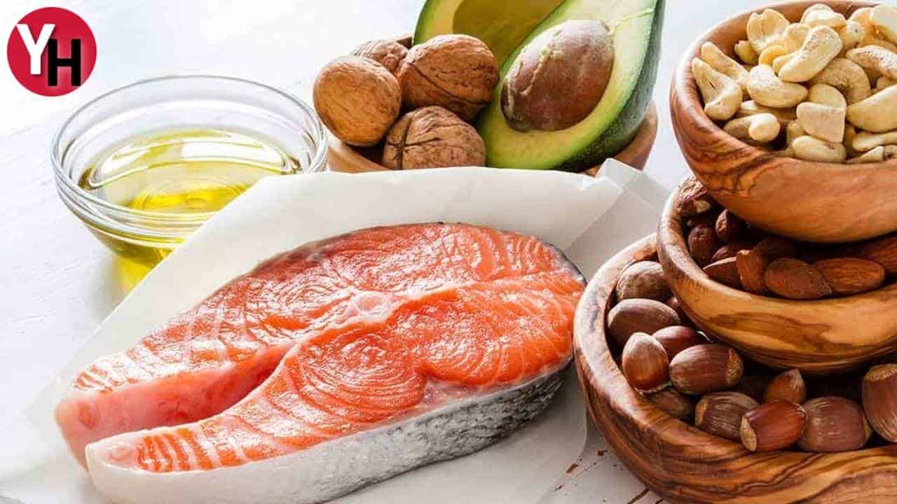 Kolestrol ve Protein Nedir?
