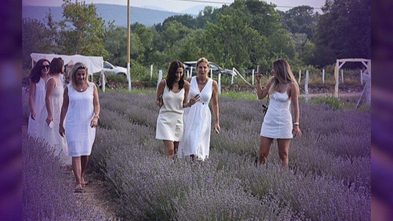 Lavanta Tarlaları: Sinop’un Eşsiz Manzarası ve Turizme Canlılık Veren Alternatif Rota