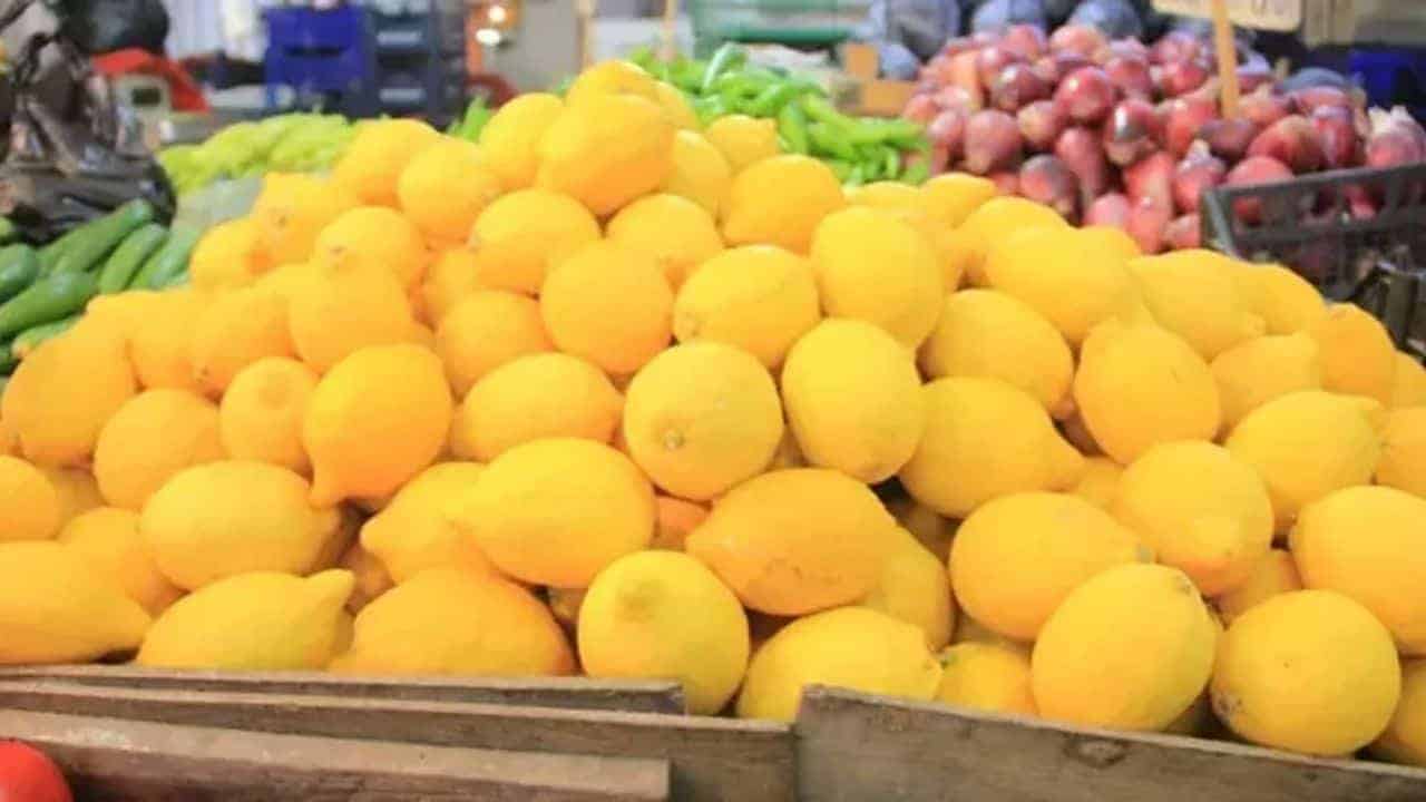 Limon Fiyatları Adana’da Ciddi Bir Artış Gösteriyor