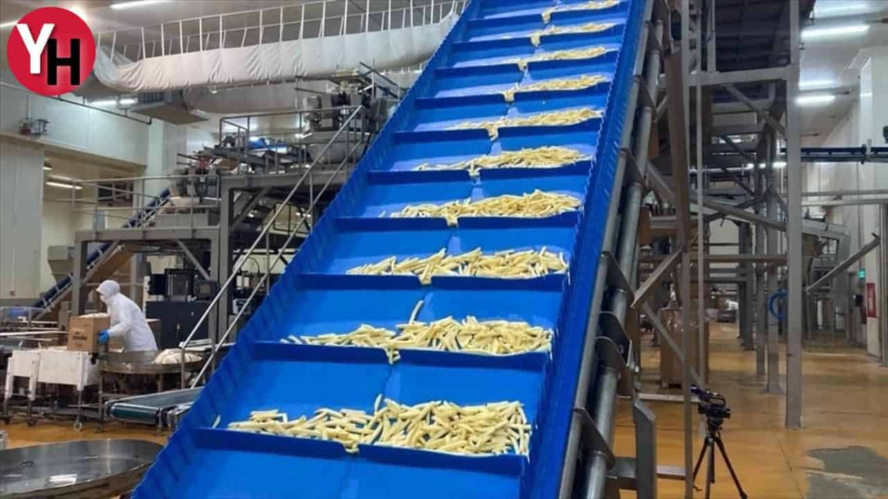 Patates Kabuğundan Elektrik Üretimi Yapılıyor!