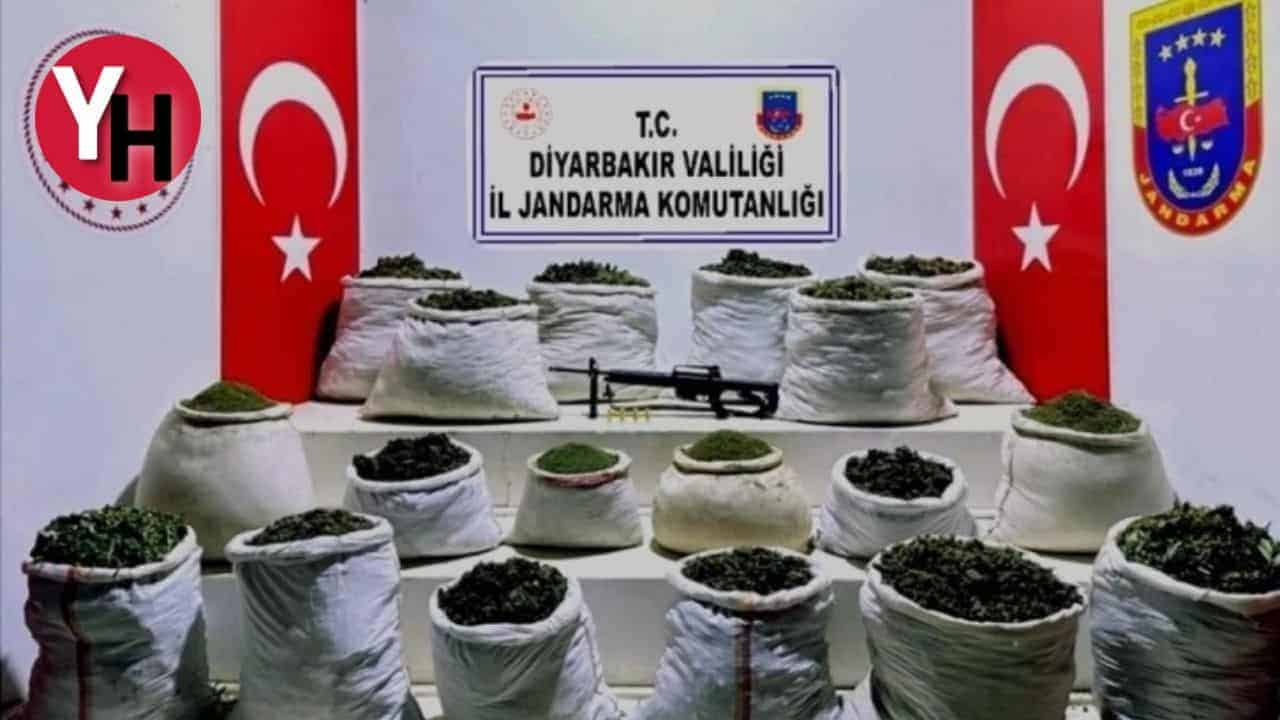 Rekor Operasyon, Diyarbakır’da 103 Kilogram Esrar ve 285 Kök Kenevir