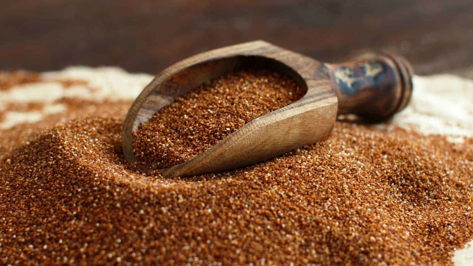 Sağlıklı Beslenmenin Anahtarı Teff Tahılı ve Sindirim Sağlığı