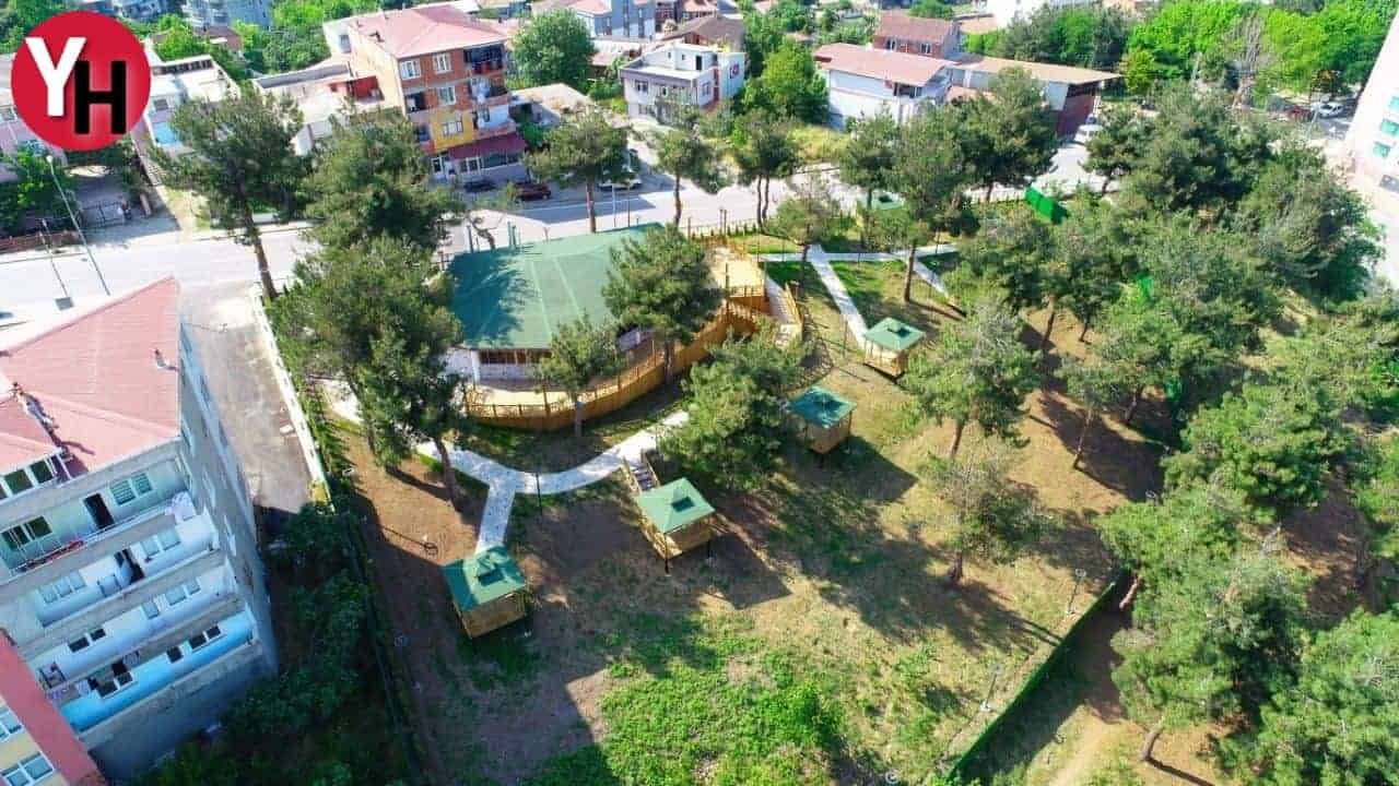 Samsun İlkadım Ormanı Güzellikleri Nelerdir?