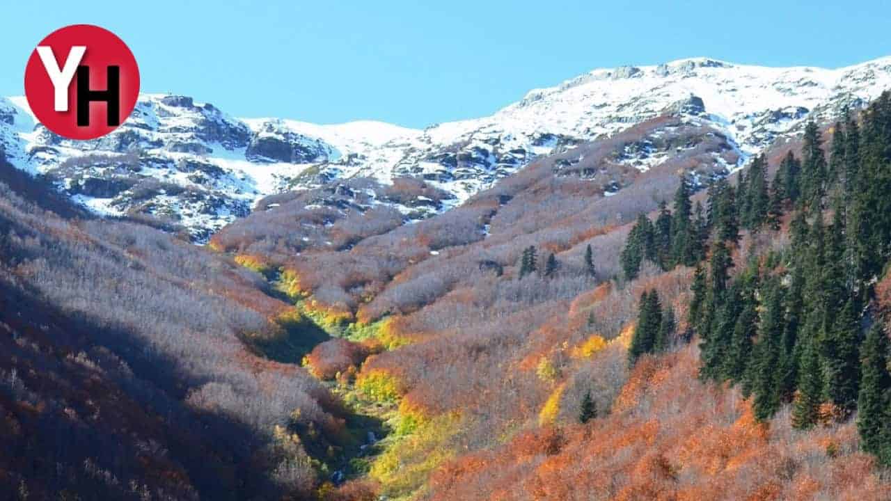 Şavşat’ta Havadan Yakalanan Eşsiz Sonbahar Renkleri