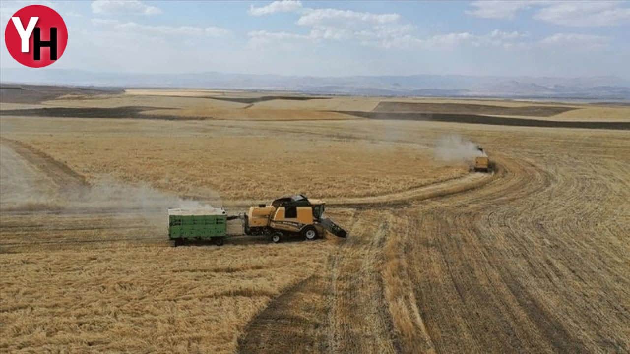 Tarım ve Orman Bakanlığı, Tarıma Dayalı Ekonomik Yatırımlar İçin Yüzde 50 Hibe Desteği Sağlıyor