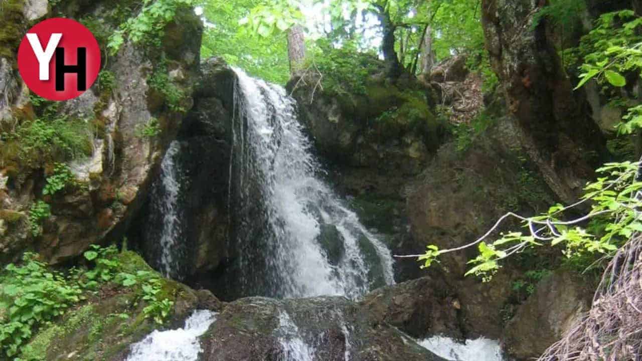 Uşaklı Doğaseverlerin İsyanı Murat Dağı Kurtuldu