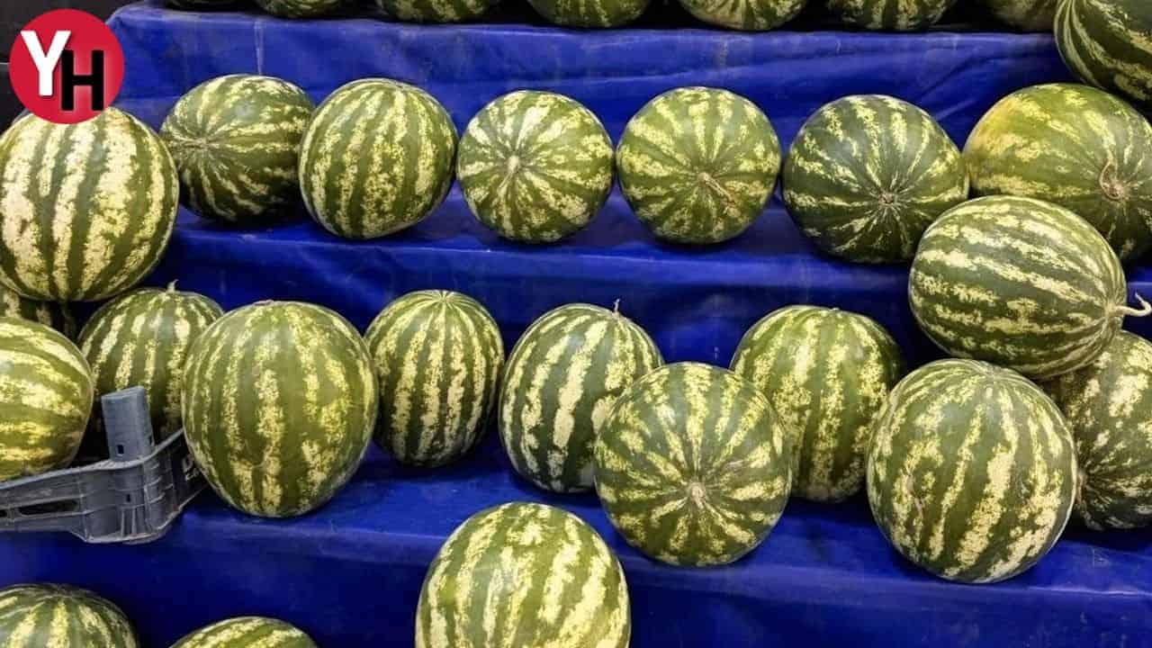 Yapay Zeka İle Karpuz Seçimi: %98 Başarı ile Tanımlandı!