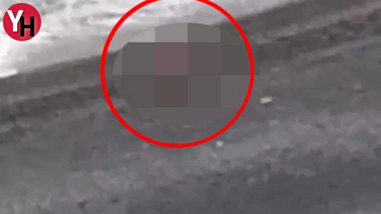 Zonguldak’ta Plajda Cinsel İlişki İddiası: Polis İnceleme Başlattı
