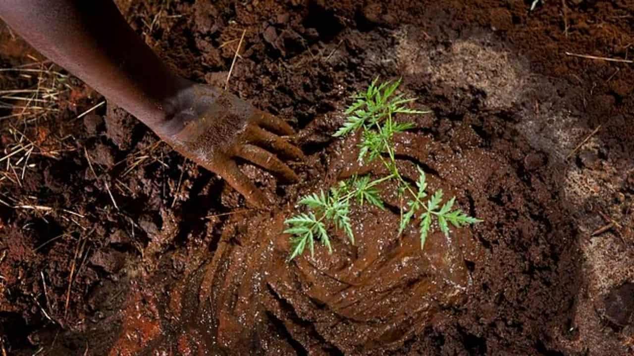 Açlık Virüsü Nedir? Belirtileri ve Korunma Yolları Nelerdir?