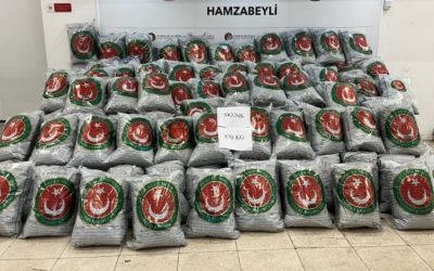Hamzabeyli Sınır Kapısı’nda 870 Kilo Skunk Uyuşturucusu Ele Geçirildi