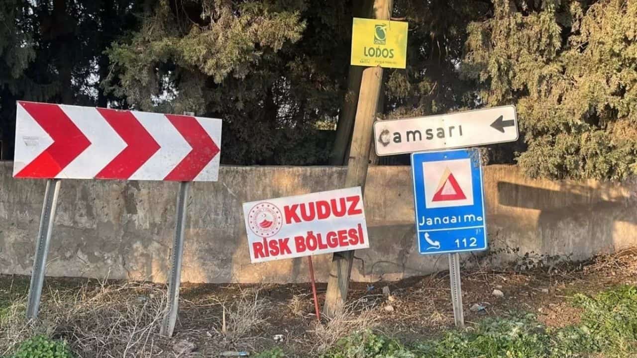 Kuduz Alarmı! Mahalle ‘Riskli Alan’ İlan Edildi