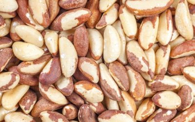Brezilya Cevizi Nedir? Faydaları ve Zararları Nelerdir?