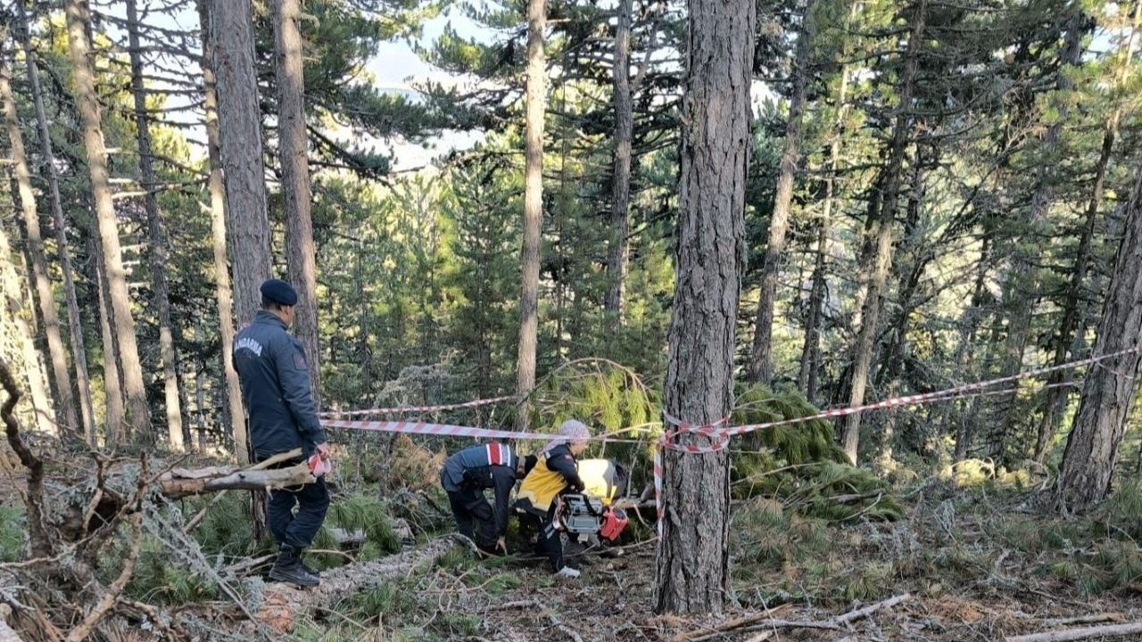 kütahya'da kestiği ağacın altında kalan İşçi hayatını kaybetti