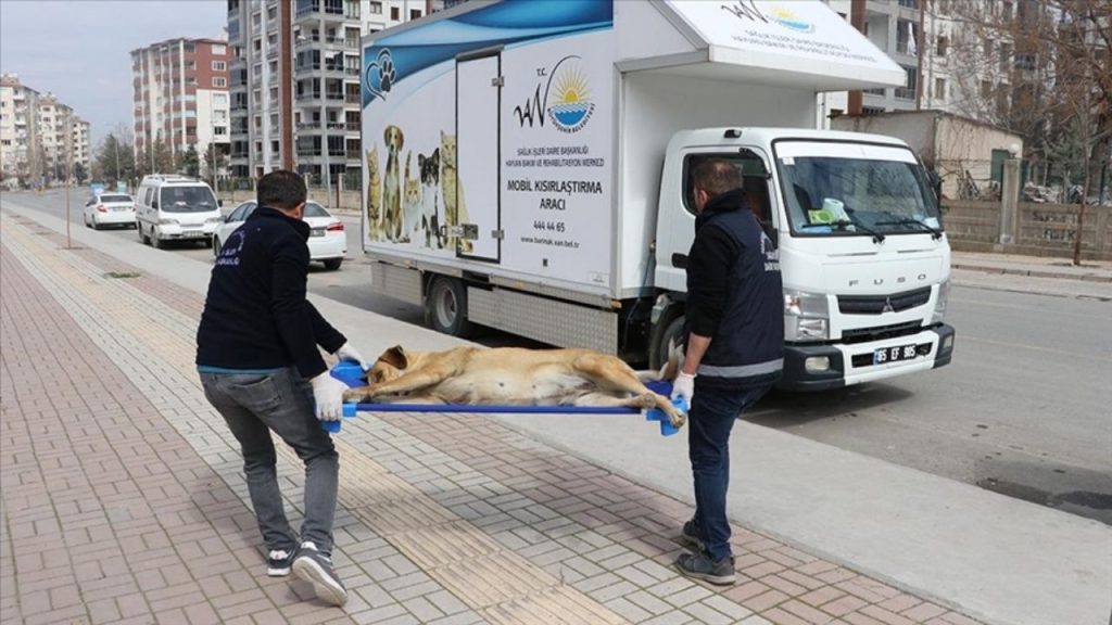 sağlık bakanlığı, 81 İlde sahipsiz hayvanları Önlemek İçin adım attı