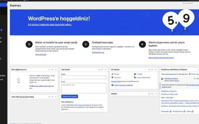 WordPress Sitemde 0x1c8c5b6a Adında Makale Oluşturuldu, Nedir?