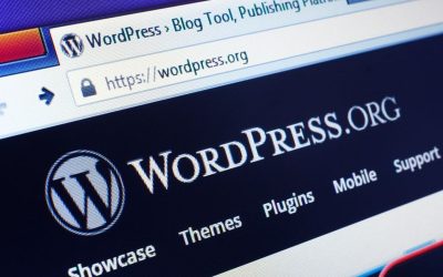 Wordpress 0x1c8c5b6a adlı yazı nedir?