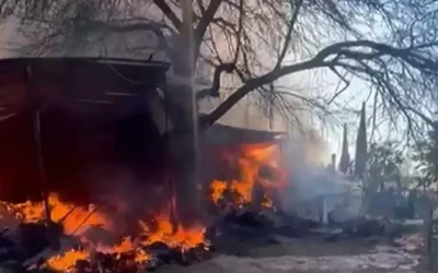 Adana’da Çıkan Çiftlik Yangınında 70 Hayvan Telef Oldu