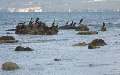 Balıkesir’de Deniz Çekilince Antik Liman Gün Yüzüne Çıktı