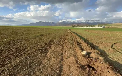 Şırnak’ta 3 günlük bebek ölü bulundu
