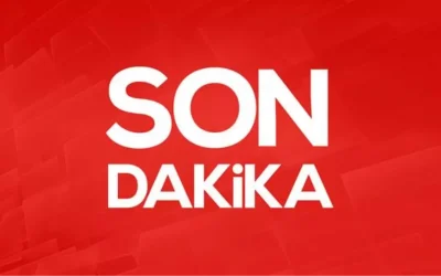 343 şüpheli, İstanbul ve Ankara da dahil 9 ilde eylemlere katıldığı gerekçesiyle yakalandı.