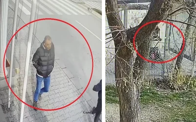 15 yaşındaki kız okul çıkışında gasp edilip bıçaklandı
