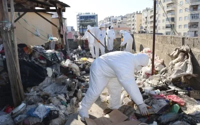 Mahalle sakinleri ihbar etti, ekipler şaşkına döndü