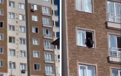 Polis, intihara teşebbüs eden genç kızı son anda kurtardı