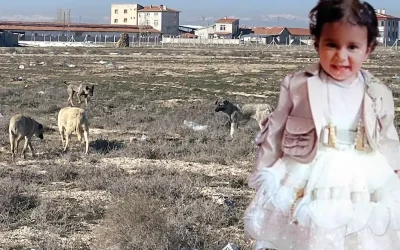 Rana bebeğin ailesi avukatından skandal iddiaya cevap verdi